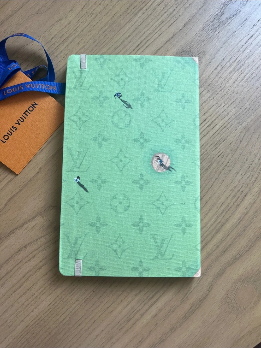 NEW Louis Vuitton Jane Notebook Baseball Field ⚾️